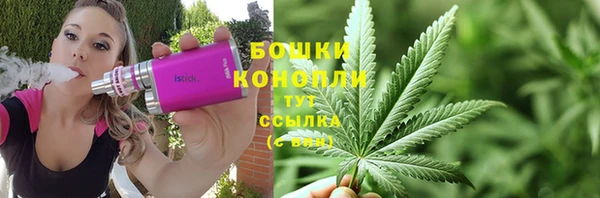 меф Дмитриев