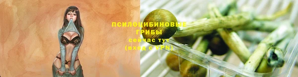 MDMA Дмитров