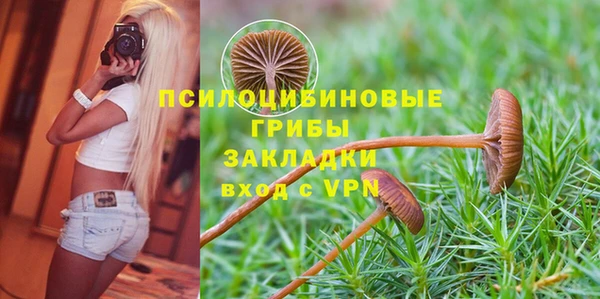 меф Дмитриев