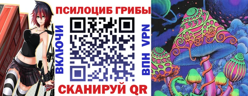 Галлюциногенные грибы Psilocybine cubensis  Купить где  Волчанск 